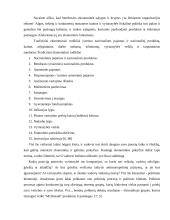 UAB Snaigė plėtra Lietuvos ir užsienio rinkose 13 puslapis