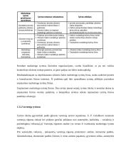 UAB Snaigė plėtra Lietuvos ir užsienio rinkose 19 puslapis