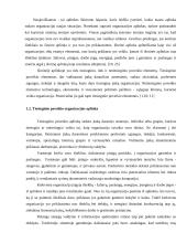 UAB Snaigė plėtra Lietuvos ir užsienio rinkose 6 puslapis