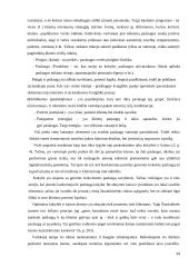 Įmonės "Oketa" reklama internete 14 puslapis