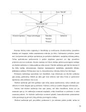 Prekės ženklas kavos pramonėje bei jo komunikacijos procesai 11 puslapis