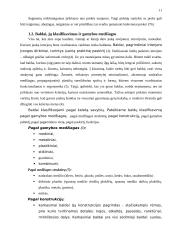 Individualaus užsakymo baldų rinka ir jos perspektyvos Tauragės apskrityje 11 puslapis