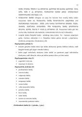 Individualaus užsakymo baldų rinka ir jos perspektyvos Tauragės apskrityje 12 puslapis