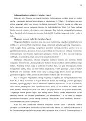 Individualaus užsakymo baldų rinka ir jos perspektyvos Tauragės apskrityje 14 puslapis