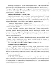 Individualaus užsakymo baldų rinka ir jos perspektyvos Tauragės apskrityje 17 puslapis