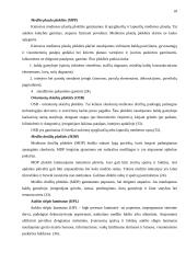 Individualaus užsakymo baldų rinka ir jos perspektyvos Tauragės apskrityje 18 puslapis