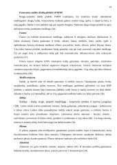 Individualaus užsakymo baldų rinka ir jos perspektyvos Tauragės apskrityje 19 puslapis