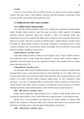 Individualaus užsakymo baldų rinka ir jos perspektyvos Tauragės apskrityje 20 puslapis