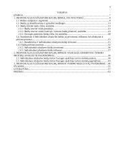 Individualaus užsakymo baldų rinka ir jos perspektyvos Tauragės apskrityje 3 puslapis