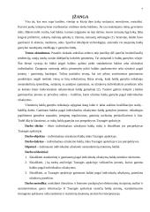 Individualaus užsakymo baldų rinka ir jos perspektyvos Tauragės apskrityje 7 puslapis