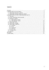 Marketingo plano esmė ir jo turinys 2 puslapis