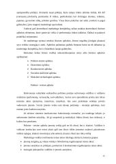 Marketingo plano esmė ir jo turinys 11 puslapis