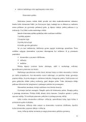 Marketingo plano esmė ir jo turinys 12 puslapis