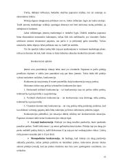 Marketingo plano esmė ir jo turinys 13 puslapis