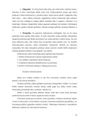 Marketingo plano esmė ir jo turinys 14 puslapis