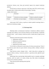 Marketingo plano esmė ir jo turinys 17 puslapis