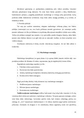Marketingo plano esmė ir jo turinys 19 puslapis