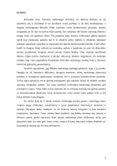 Marketingo plano esmė ir jo turinys 3 puslapis