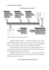 Marketingo plano esmė ir jo turinys 4 puslapis