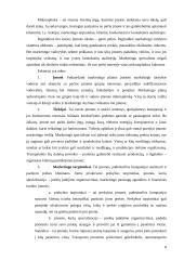 Marketingo plano esmė ir jo turinys 8 puslapis