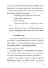 Marketingo plano esmė ir jo turinys 10 puslapis