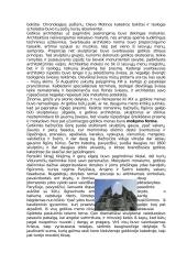 Vakarų gotikos kultūra 18 puslapis