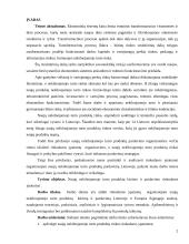 Naujų nekilnojamojo turto produktų kūrimo ir pardavimo rinkodaros ypatumai 2 puslapis