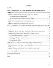 Naujų nekilnojamojo turto produktų vystymo ypatumai. Diplominis darbas 2 puslapis