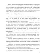 Naujų nekilnojamojo turto produktų vystymo ypatumai. Diplominis darbas 13 puslapis