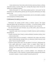 Naujų nekilnojamojo turto produktų vystymo ypatumai. Diplominis darbas 17 puslapis