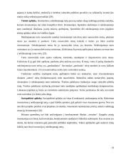 Naujų nekilnojamojo turto produktų vystymo ypatumai. Diplominis darbas 19 puslapis