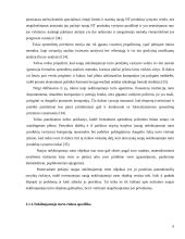 Naujų nekilnojamojo turto produktų vystymo ypatumai. Diplominis darbas 6 puslapis