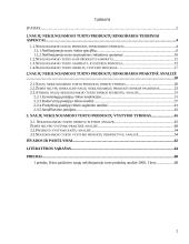 Nekilnojamojo turto produktų vystymo ypatumai 2 puslapis