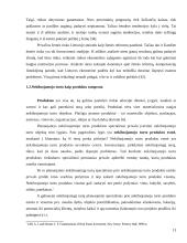 Nekilnojamojo turto produktų vystymo ypatumai 13 puslapis