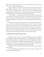 Nekilnojamojo turto produktų vystymo ypatumai 15 puslapis