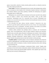 Nekilnojamojo turto produktų vystymo ypatumai 19 puslapis