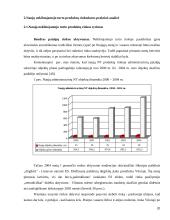 Nekilnojamojo turto produktų vystymo ypatumai 20 puslapis