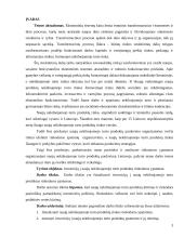 Nekilnojamojo turto produktų vystymo ypatumai 3 puslapis