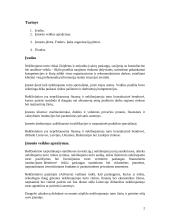 Perspektyvos ir plėtra 2 puslapis