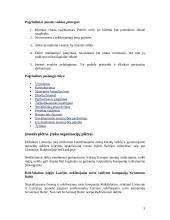 Perspektyvos ir plėtra 3 puslapis