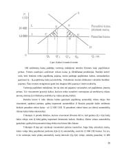 Netarifiniai užsienio prekybos apribojimai 13 puslapis