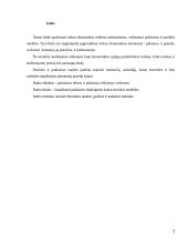 Paklausos dėsnis ir paklausą veikiantys veiksniai 2 puslapis
