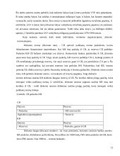 Palūkanų normos reguliavimo ypatumai 13 puslapis