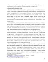 Palūkanų normos reguliavimo ypatumai 18 puslapis