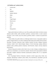 Pieno produkto prekės ženklo komunikacijos procesai 11 puslapis