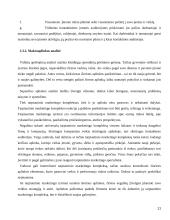 Tarptautinio marketingo strateginio valdymo aspektai ir jos diversifikacija. 11 puslapis