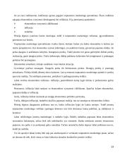 Tarptautinio marketingo strateginio valdymo aspektai ir jos diversifikacija. 13 puslapis