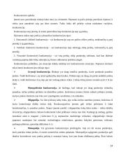 Tarptautinio marketingo strateginio valdymo aspektai ir jos diversifikacija. 14 puslapis