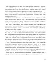 Tarptautinio marketingo strateginio valdymo aspektai ir jos diversifikacija. 16 puslapis