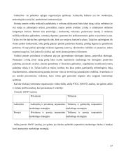 Tarptautinio marketingo strateginio valdymo aspektai ir jos diversifikacija. 17 puslapis